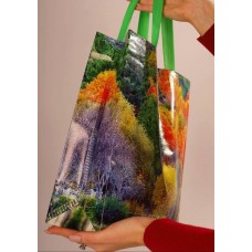 Екосумка ламінована