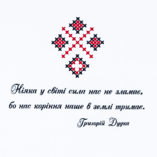 Футболка підліткова "Вишиванка"