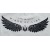 Wings of Libe 