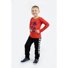 Футболка для хлопчика(довгий рукав)